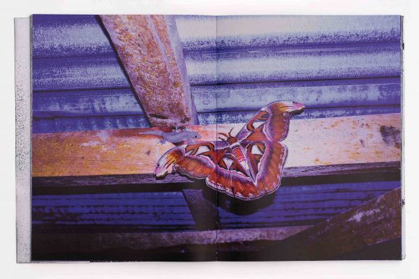 snakefire-arko-datto-photography-photobook-nicolas-polli-lartiere-photo-book-indian-photographer