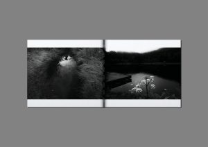 mathieu-chaze-song-of-silent-water