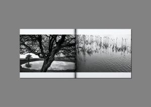 mathieu-chaze-song-of-silent-water