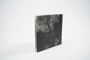 mathieu-chaze-song-of-silent-water