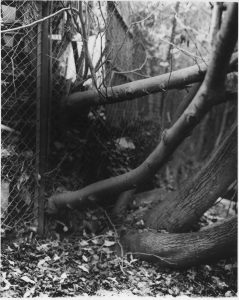 theo-zeal-adam-l'artiere