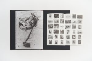 lucien-clergue-charognes-l'artiere