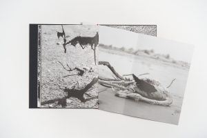 lucien-clergue-charognes-l'artiere
